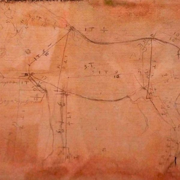 Leonardo da Vinci - Study of the proportions of a horse around 1490 - 1493 Tip of metal or (Pencil on prepared pale pink laid paper)